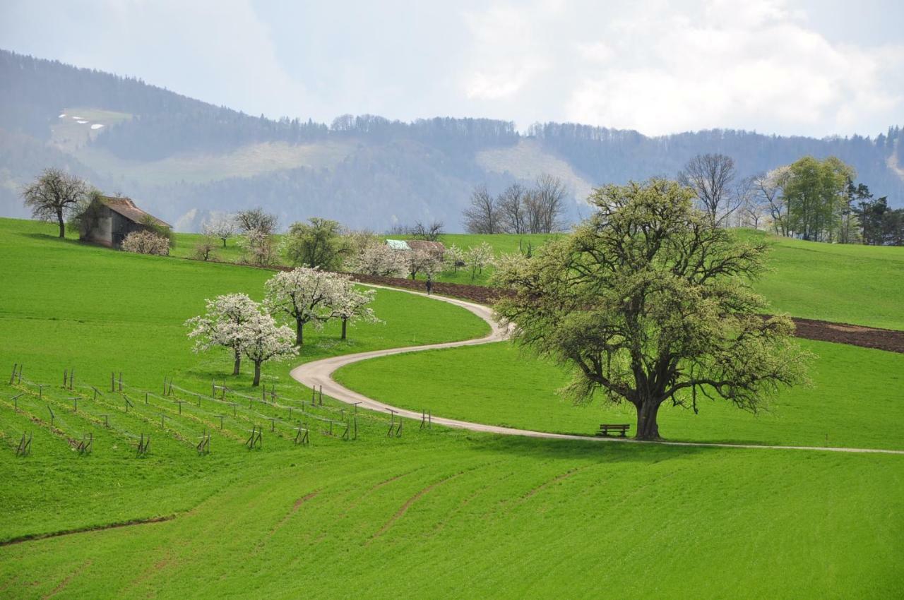 B&B Zum Rossli Zunzgen Esterno foto